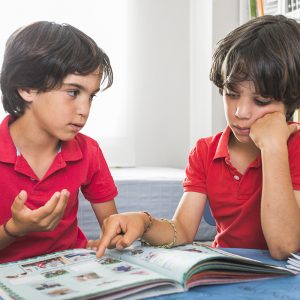 Brothers looking at book together