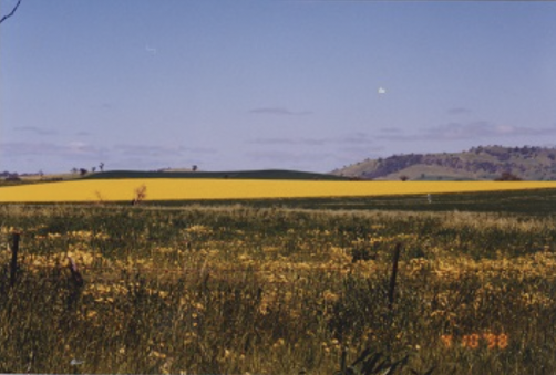 Farm field