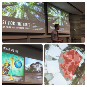 Reflecting on: STEMMING the tide