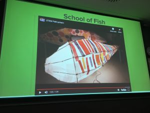 Reflecting on: STEMMING the tide