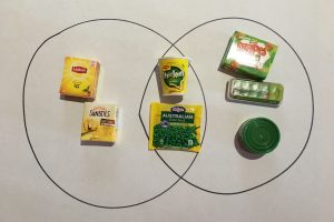 long-way-again-image-12 venn diagram with sorted toys
