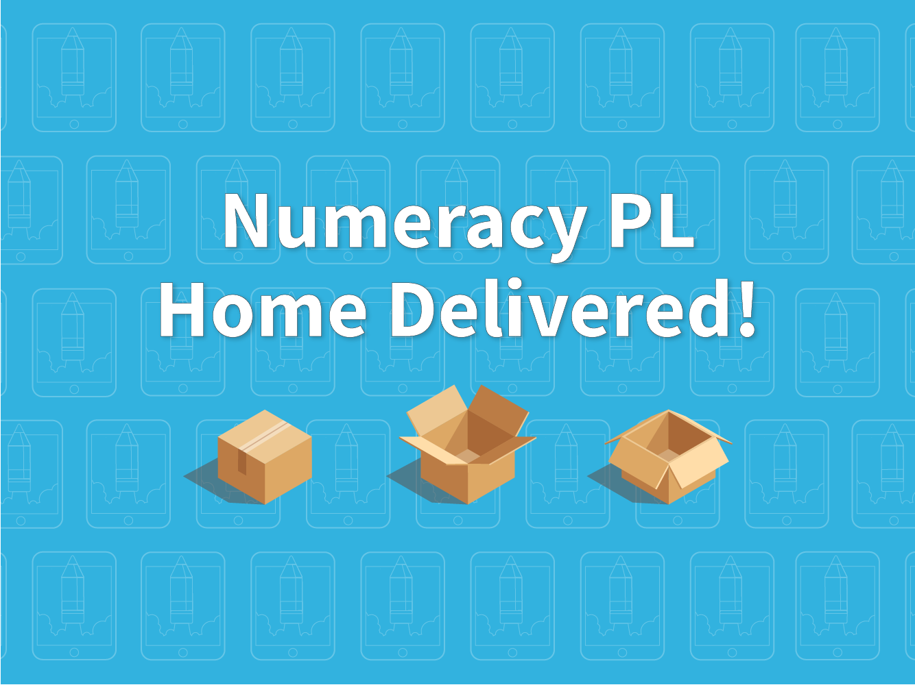 Numeracy Pl Home Delivered Primary Learning