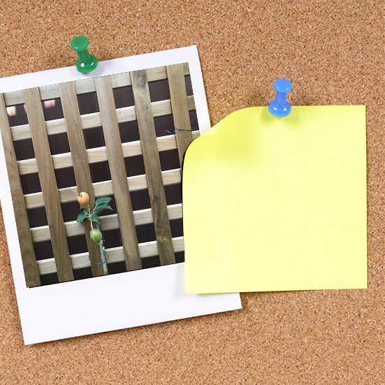 floorstorming in mathematics