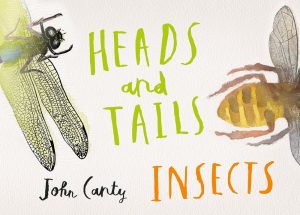 Heads and Tails Insects Heads and Tails Insects Book Cover