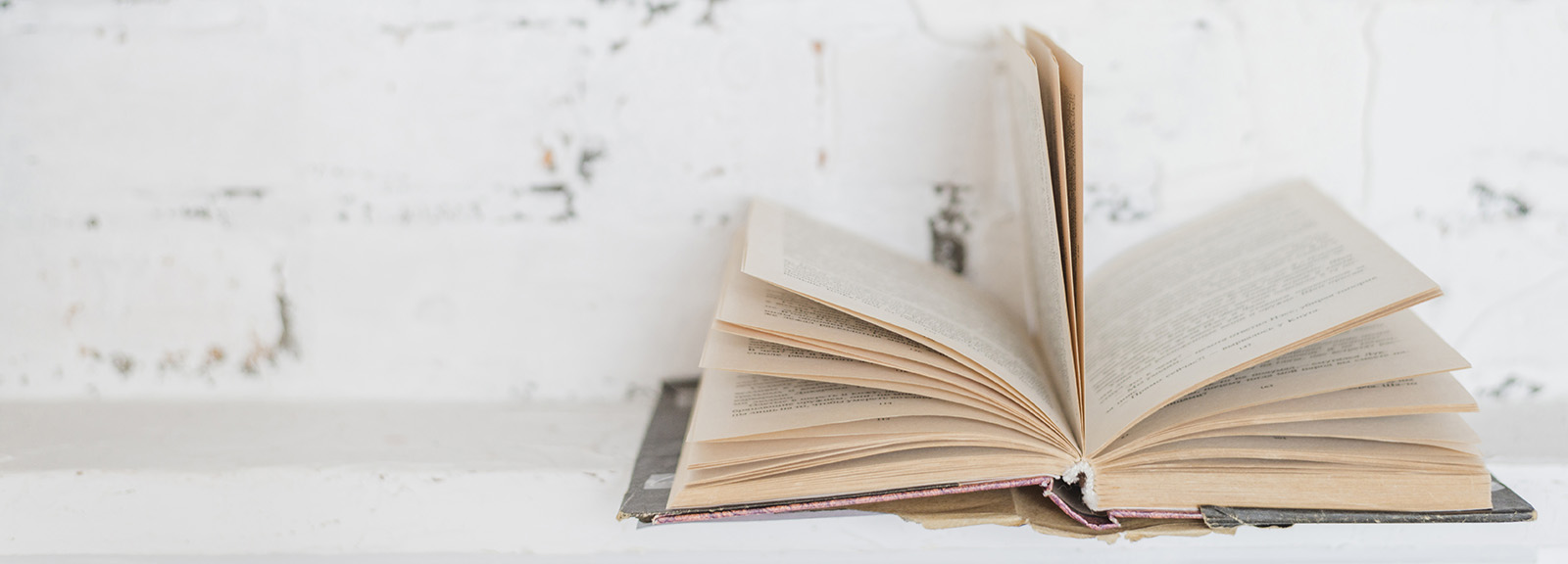 Open book in front of a rustic white wall Open book in front of a rustic white wall