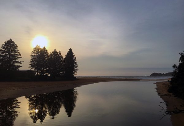 greatest show part 1 sso greatest show part 1 sso