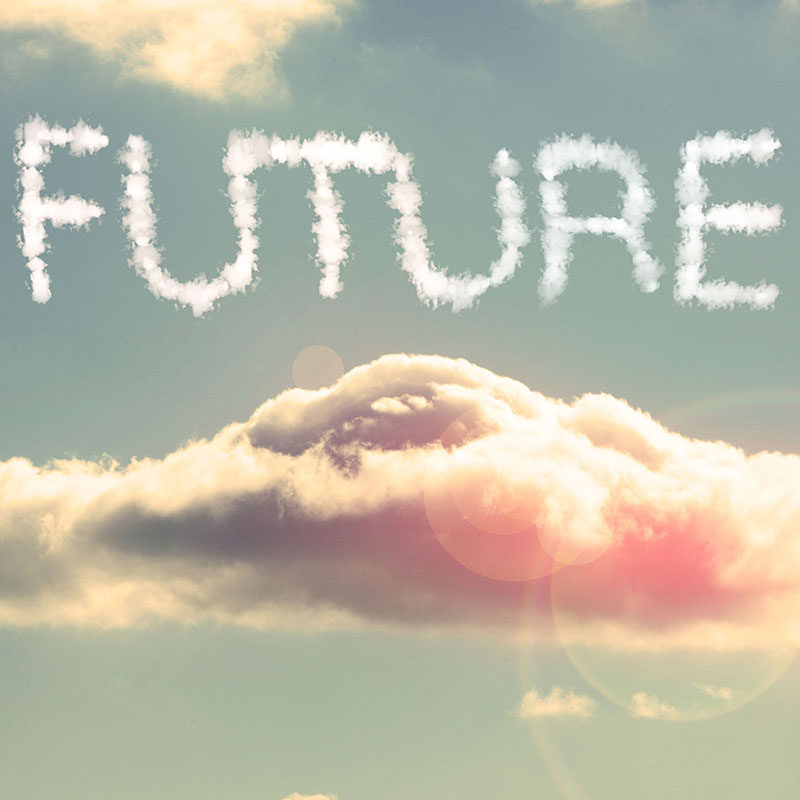 Silhouette on ladder looking at FUTURE written in the sky above clouds