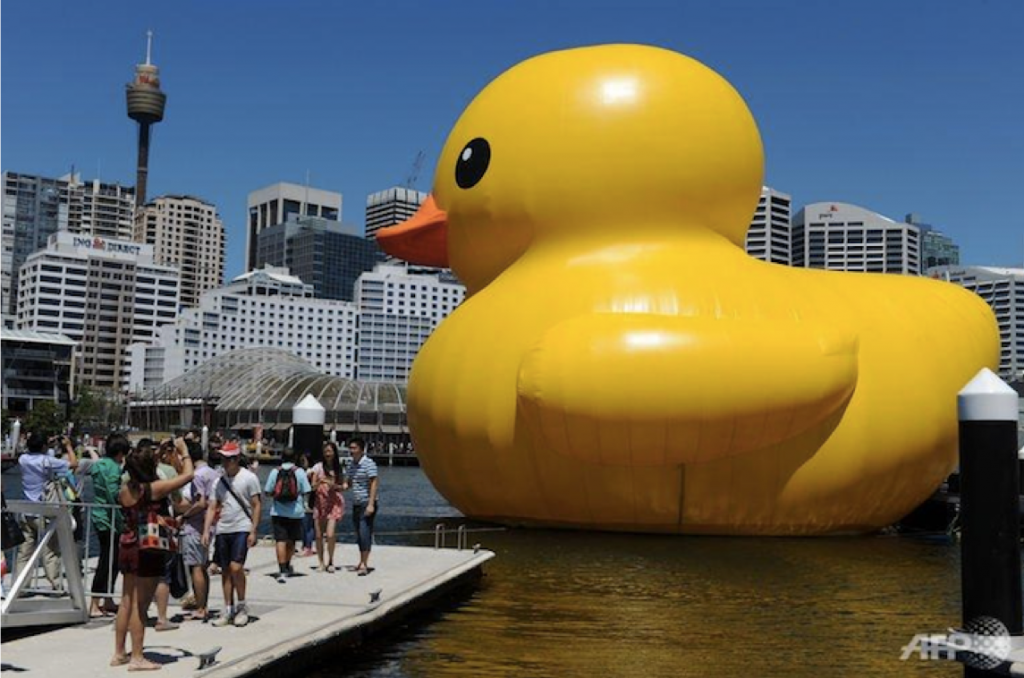 image-6-numeracy-unpacked large duck on harbour