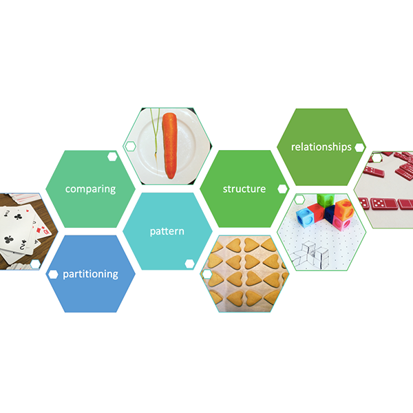 teaching and assessing maths sso