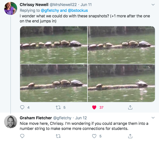 image-1-turtle-thread twitter post about turtles on a log falling in water