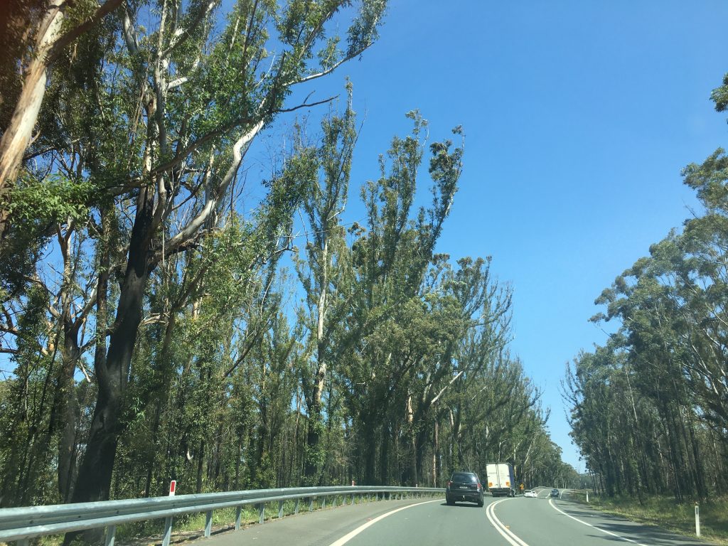 recount-image-one image of country road