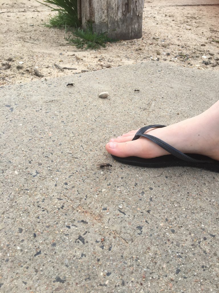 recount-image-six image of child's foot and large ant