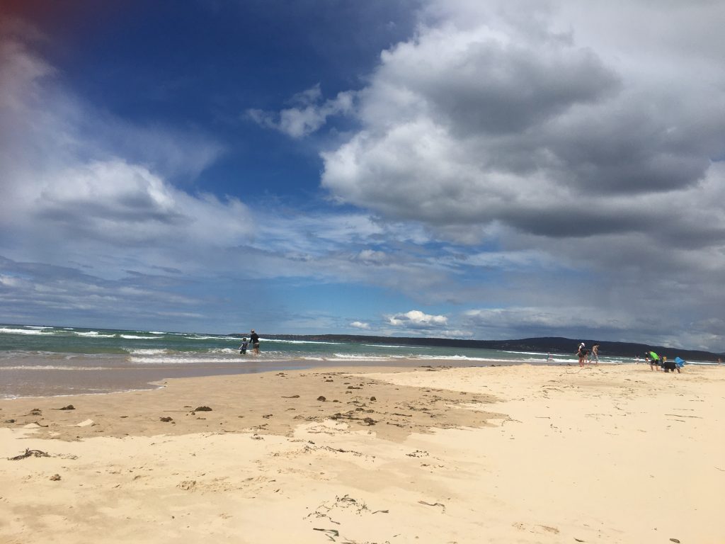 recount-image-two image of the beach