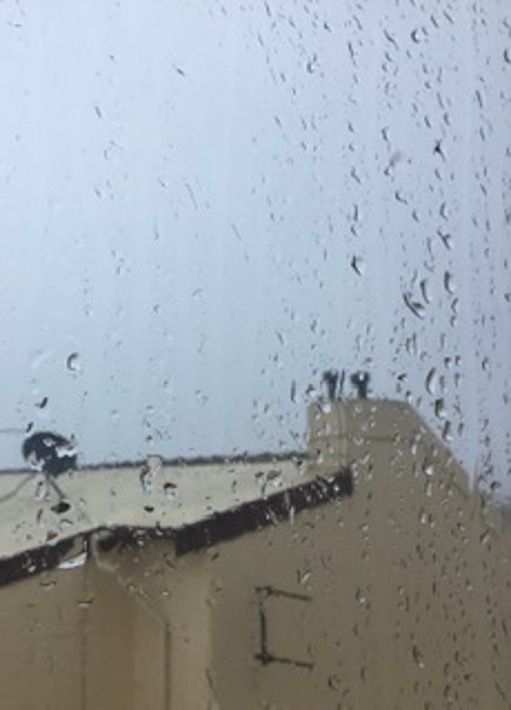 Rainy Window - Annette Gray