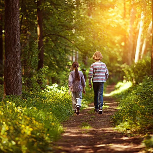Two children walking together in the forest with warm light