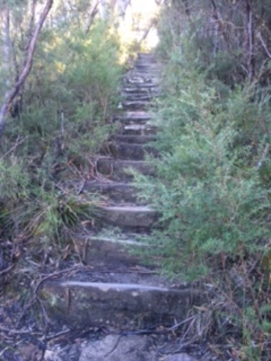 Lady Darley Steps Katoomba