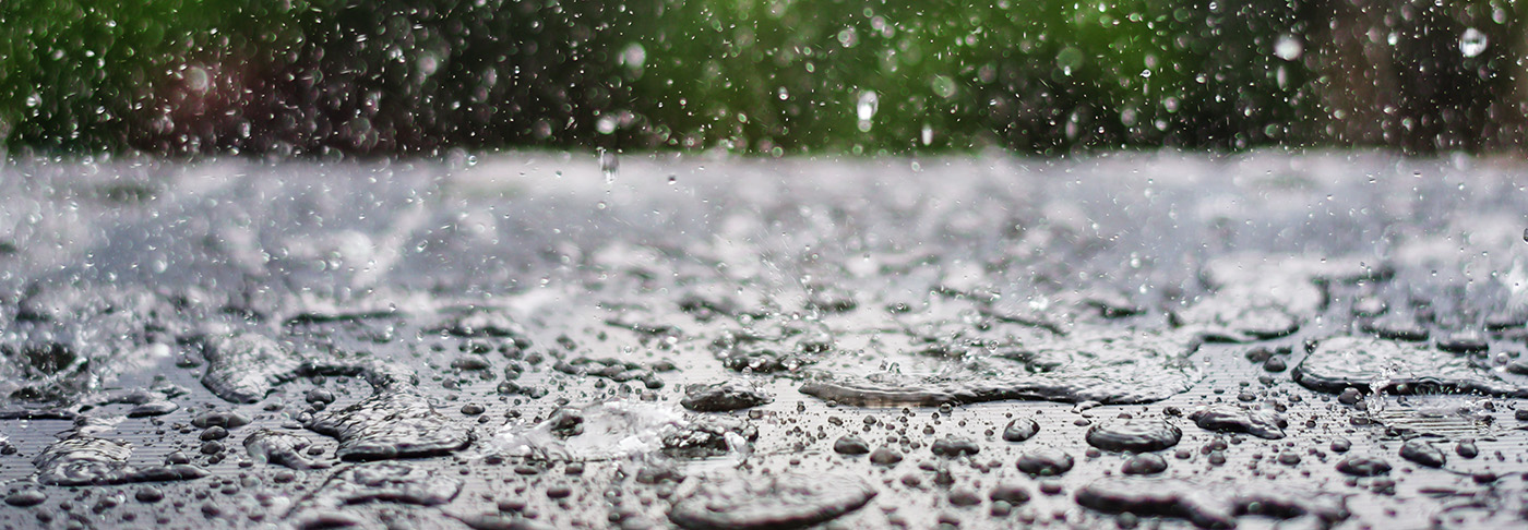 rain drop falling onto blackboard with green nature background