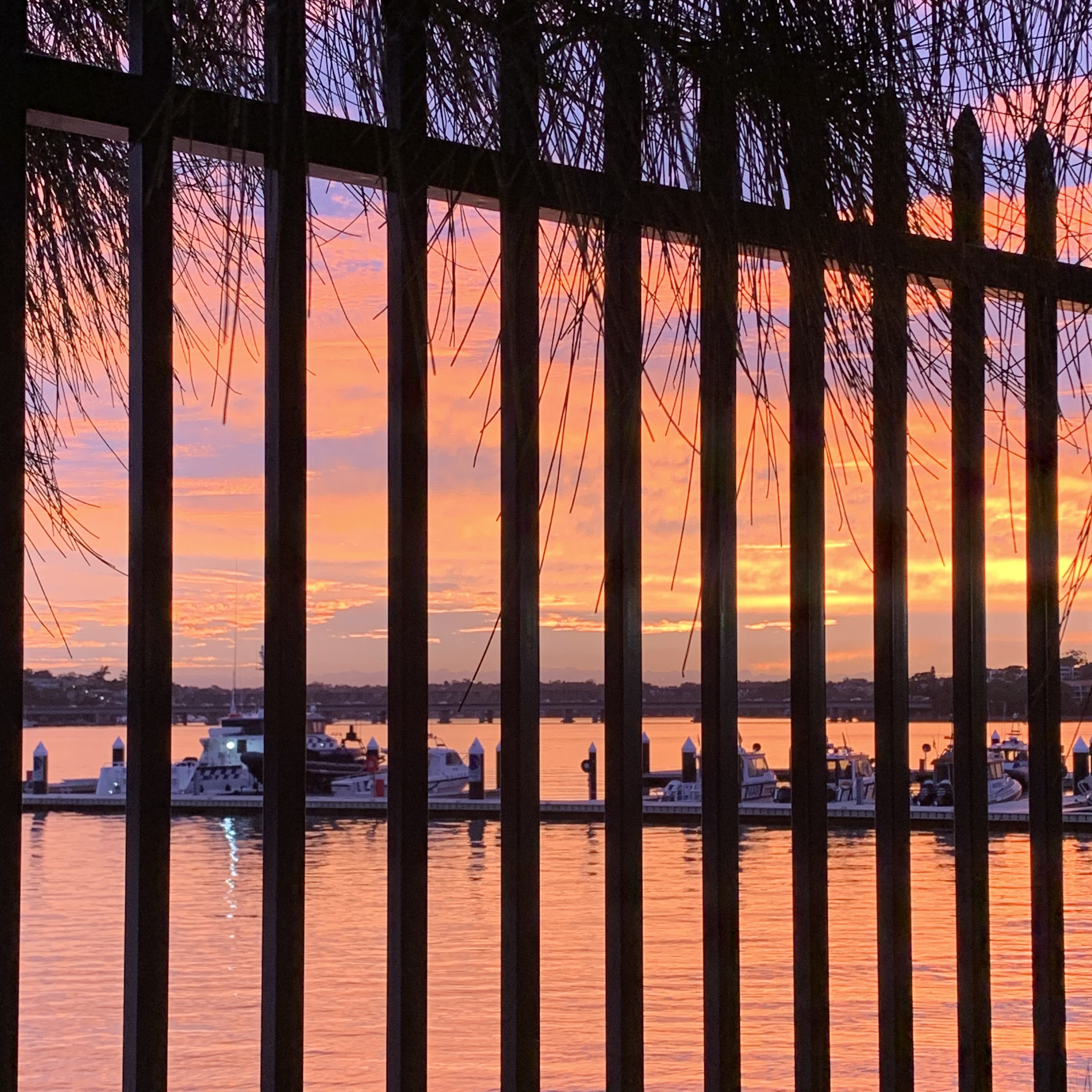 sso-image-picture-worth image of sunset through fence