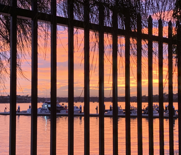 sso-image-picture-worth image of sunset through fence