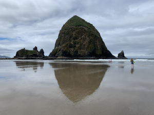 image-two-maths-in-that reflection in water at beach