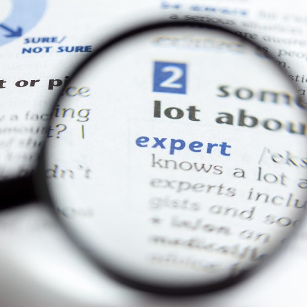 Dictionary definition of word