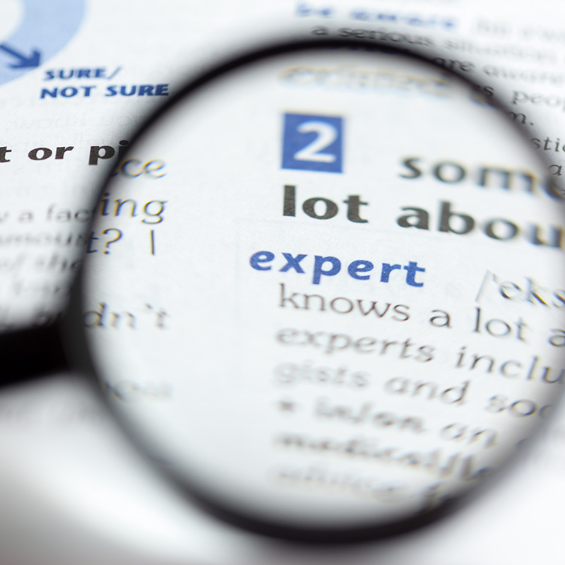 Dictionary definition of word